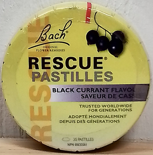 Rescue Remedy - Pastilles Black Currant (Bach)